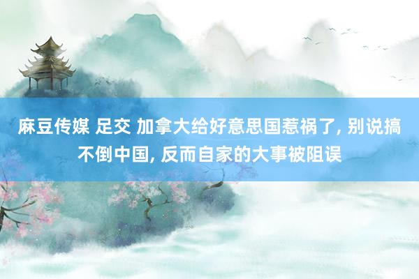 麻豆传媒 足交 加拿大给好意思国惹祸了， 别说搞不倒中国， 反而自家的大事被阻误