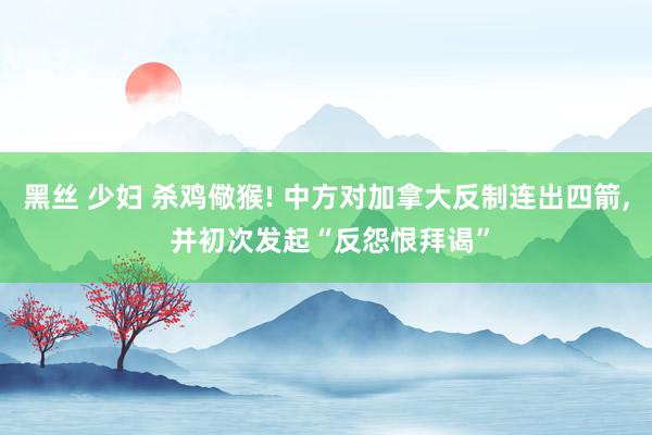 黑丝 少妇 杀鸡儆猴! 中方对加拿大反制连出四箭， 并初次发起“反怨恨拜谒”