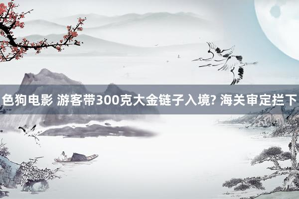 色狗电影 游客带300克大金链子入境? 海关审定拦下