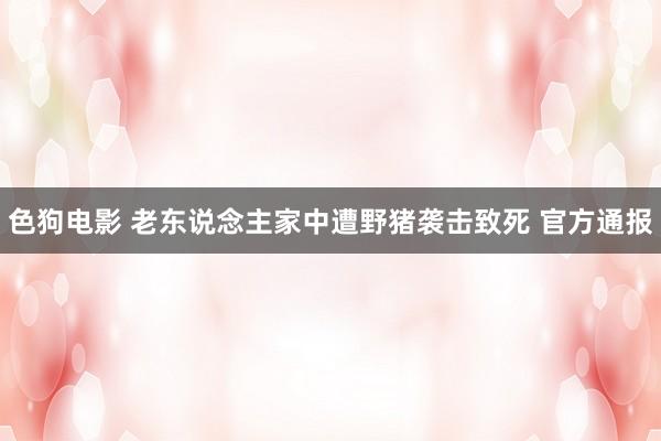 色狗电影 老东说念主家中遭野猪袭击致死 官方通报