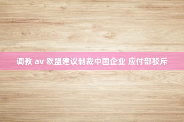 调教 av 欧盟建议制裁中国企业 应付部驳斥