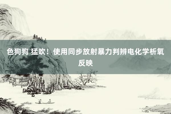 色狗狗 猛吹!使用同步放射暴力判辨电化学析氧反映